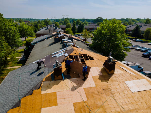 Best Local Roofing Companies  in Hallettsville, TX
