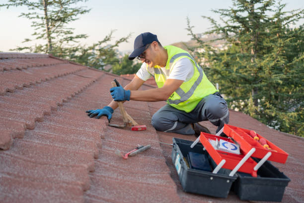 Best Sealant for Roof  in Hallettsville, TX